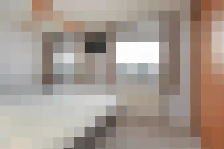 Henriëtte van Soelenlaan 42 Den Haag thumbnail 24
