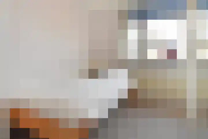 Henriëtte van Soelenlaan 42 Den Haag thumbnail 27