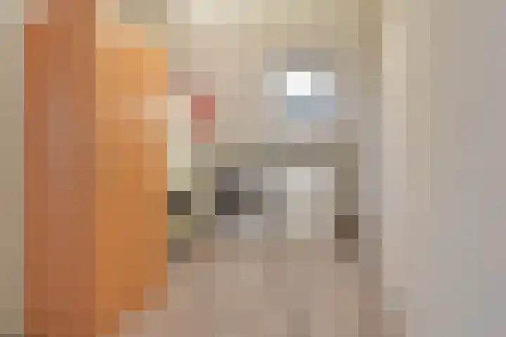 Henriëtte van Soelenlaan 42 Den Haag thumbnail 30