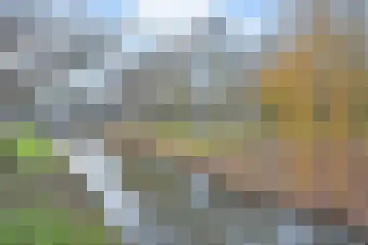 Henriëtte van Soelenlaan 42 Den Haag thumbnail 36