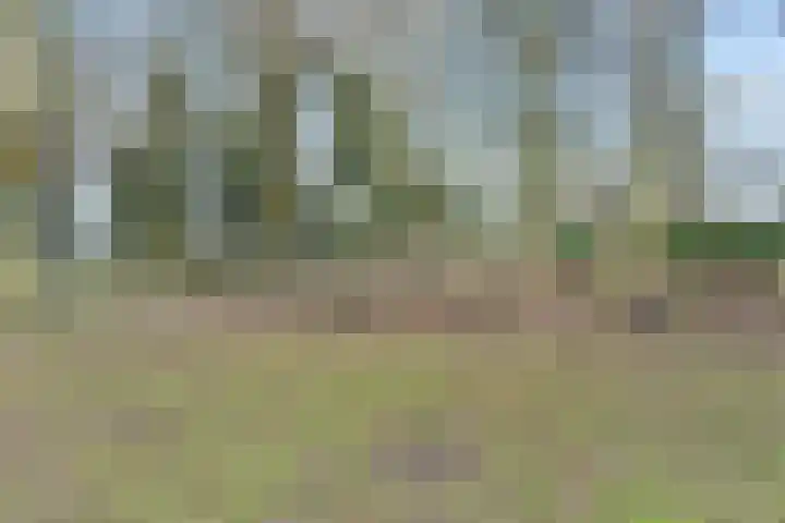 Henriëtte van Soelenlaan 42 Den Haag thumbnail 37