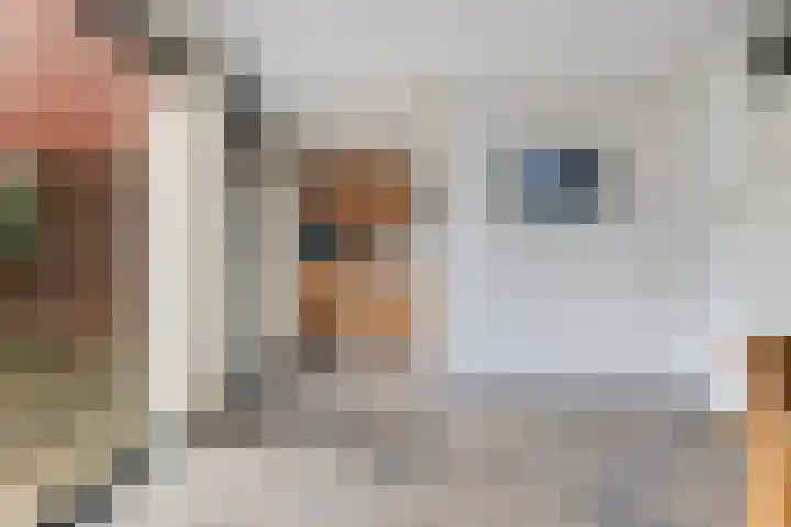 Henrik Ibsenweg 1 Woerden thumbnail 19