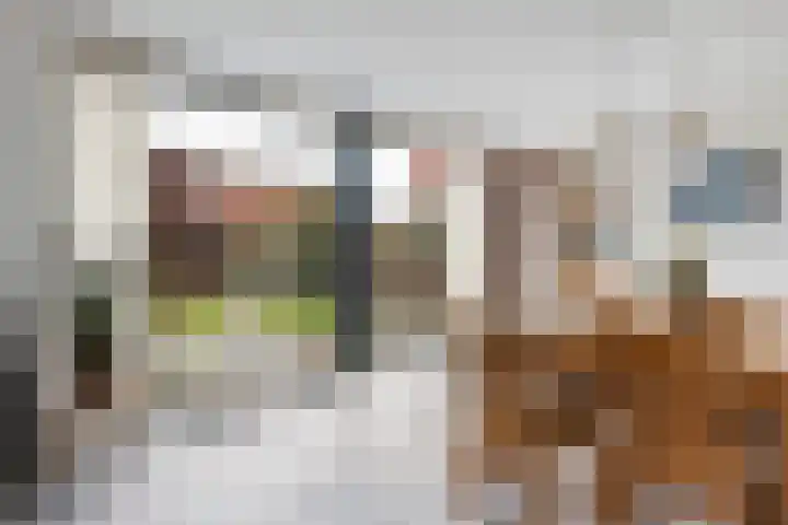 Henrik Ibsenweg 1 Woerden thumbnail 20