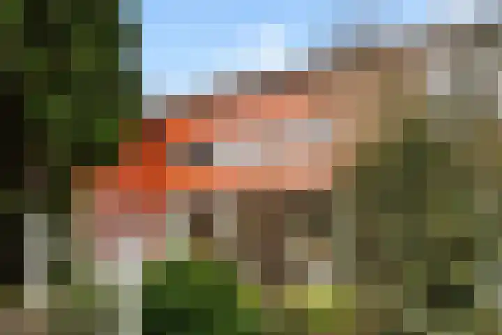 Henrik Ibsenweg 1 Woerden thumbnail 26