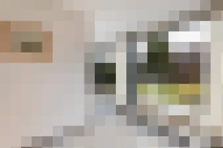 Henrik Ibsenweg 1 Woerden thumbnail 34