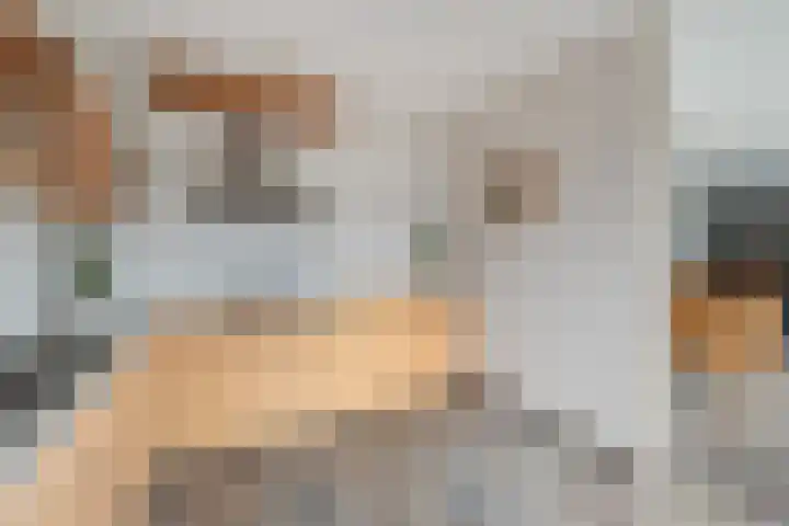 Henrik Ibsenweg 1 Woerden thumbnail 36
