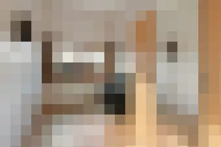 Henrik Ibsenweg 1 Woerden thumbnail 42