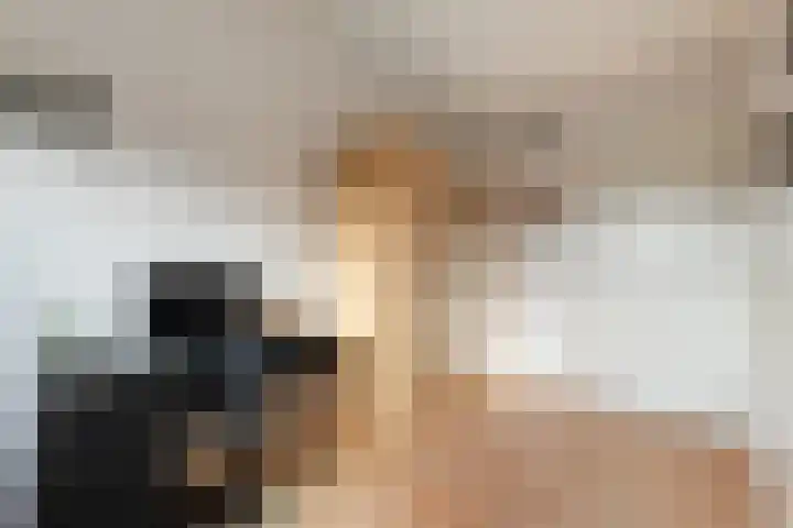 Henrik Ibsenweg 1 Woerden thumbnail 43
