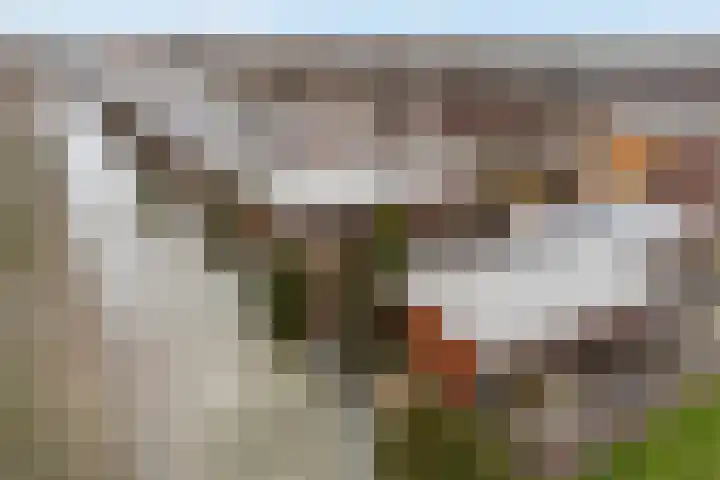 Henrik Ibsenweg 1 Woerden thumbnail 6