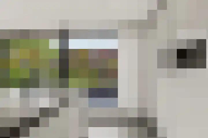 Henrik Ibsenweg 33 Woerden thumbnail 25
