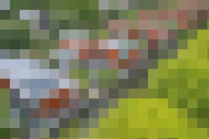 Henrik Ibsenweg 33 Woerden thumbnail 4