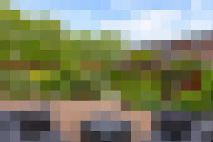 Henrik Ibsenweg 33 Woerden thumbnail 43