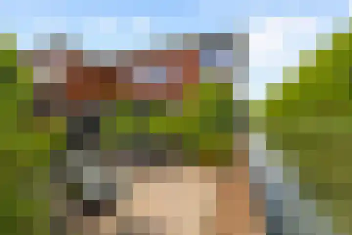 Henrik Ibsenweg 33 Woerden thumbnail 44