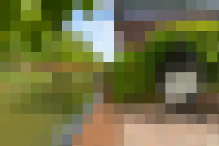 Henrik Ibsenweg 33 Woerden thumbnail 45