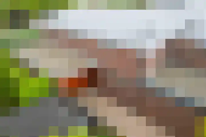 Henrik Ibsenweg 33 Woerden thumbnail 6
