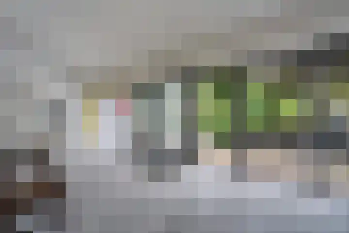 Henry Dunantlaan 10 Enschede thumbnail 10