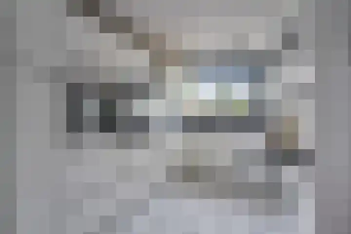 Henry Dunantlaan 10 Enschede thumbnail 14