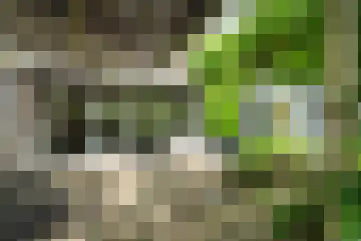 Henry Dunantlaan 10 Enschede thumbnail 31