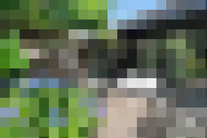 Henry Dunantlaan 10 Enschede thumbnail 32