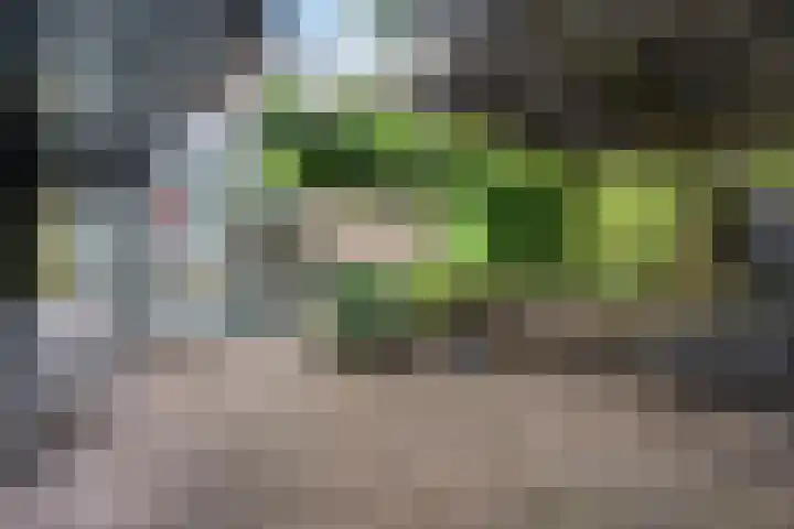 Henry Dunantlaan 10 Enschede thumbnail 34