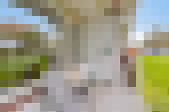 Henry Dunantlaan 10 Middelburg thumbnail 21
