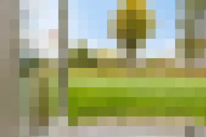 Henry Dunantlaan 10 Middelburg thumbnail 22