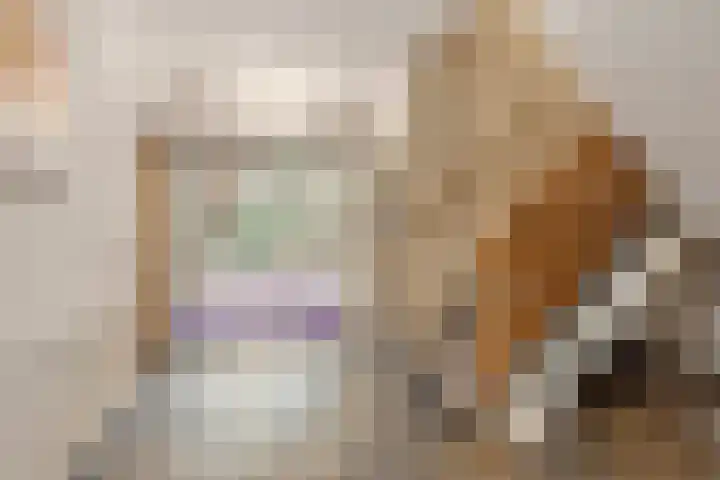 Henry Dunantlaan 10 Middelburg thumbnail 25
