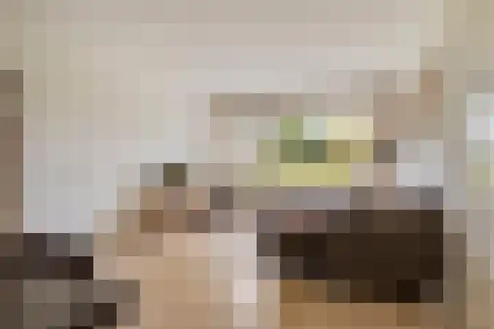 Henry Dunantlaan 10 Middelburg thumbnail 4