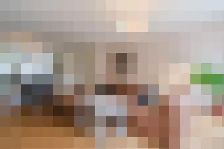 Henry Dunantlaan 12 Delft thumbnail 13