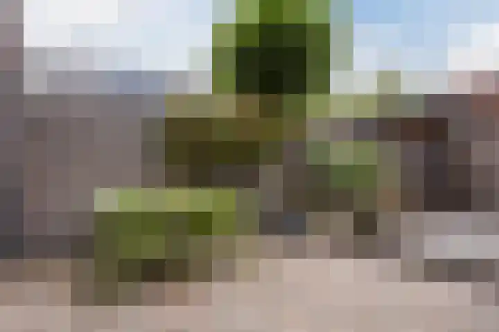 Henry Dunantlaan 12 Delft thumbnail 25