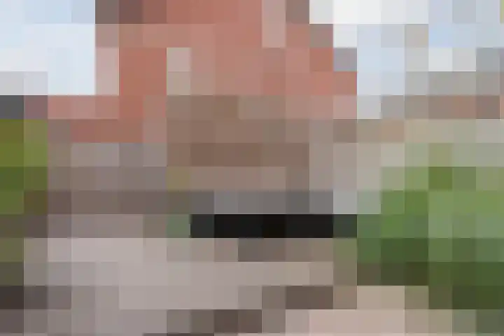 Henry Dunantlaan 12 Delft thumbnail 26