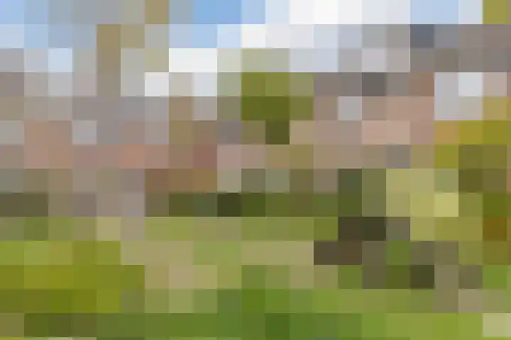 Henry Dunantlaan 12 Delft thumbnail 29