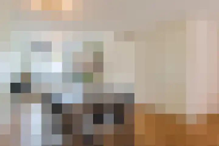 Henry Dunantlaan 12 Delft thumbnail 4