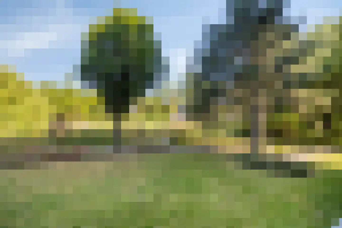 Henry Dunantlaan 14 Middelburg thumbnail 18