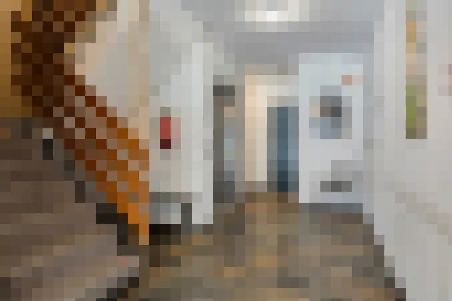 Henry Dunantlaan 14 Middelburg thumbnail 21