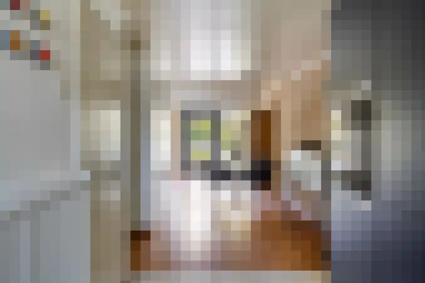 Henry Dunantlaan 15 Enschede thumbnail 18
