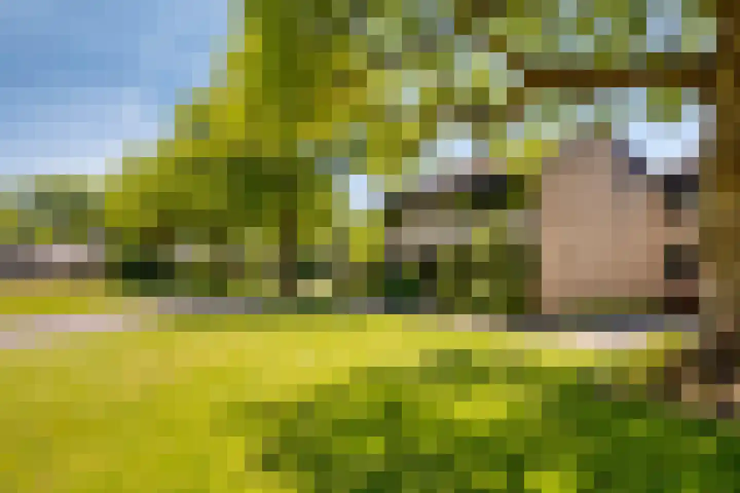 Henry Dunantlaan 15 Enschede thumbnail 51