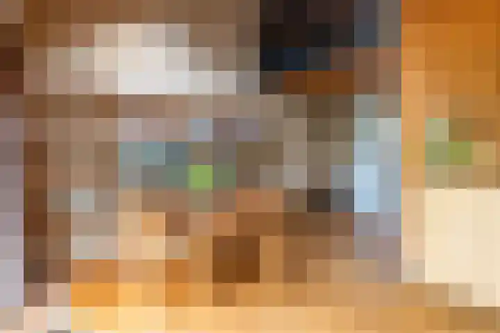 Henry Dunantlaan 16 Enschede thumbnail 25