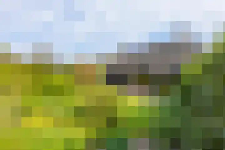Henry Dunantlaan 16 Enschede thumbnail 5