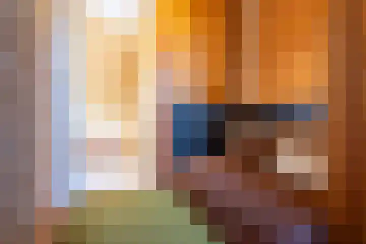 Henry Dunantlaan 16 Enschede thumbnail 59
