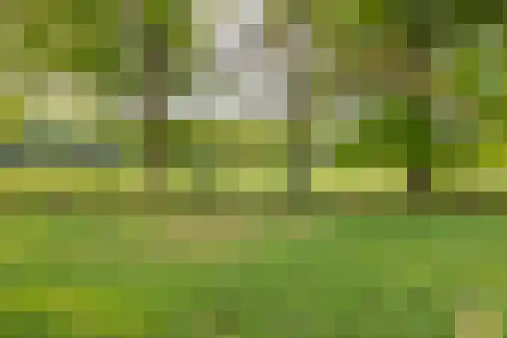 Henry Dunantlaan 16 Enschede thumbnail 65