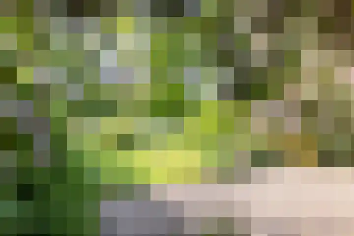 Henry Dunantlaan 16 Enschede thumbnail 68