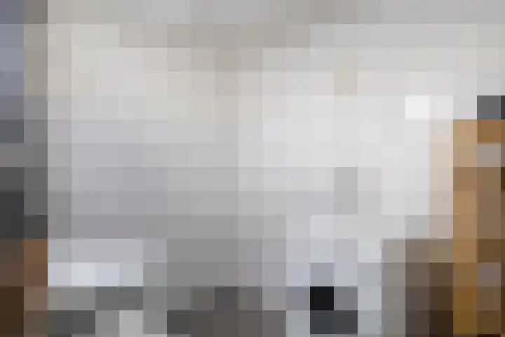 Henry Dunantlaan 188 Middelburg thumbnail 12