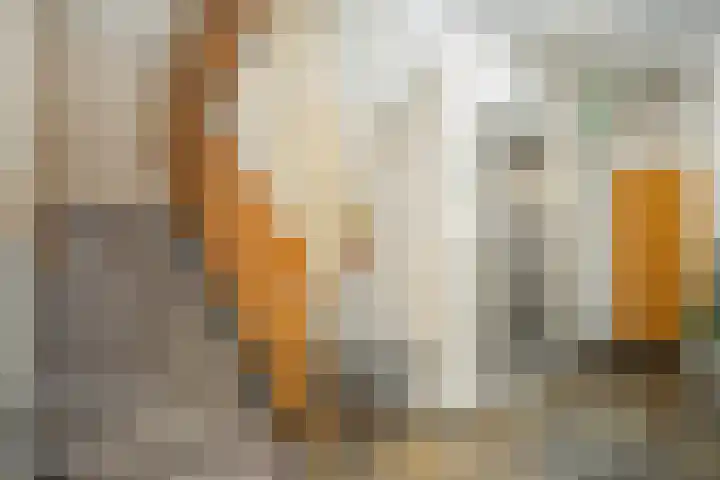 Henry Dunantlaan 188 Middelburg thumbnail 17