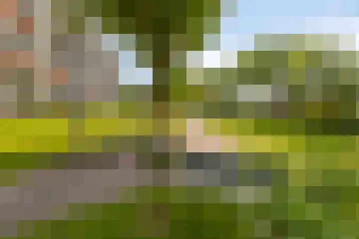 Henry Dunantlaan 218 Middelburg thumbnail 29
