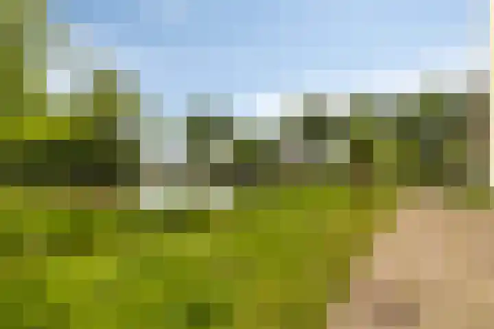 Henry Dunantlaan 218 Middelburg thumbnail 31