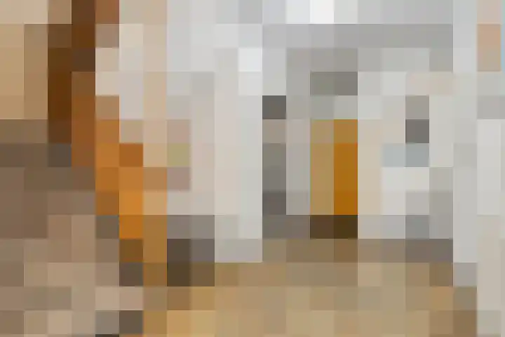 Henry Dunantlaan 220 Middelburg thumbnail 12