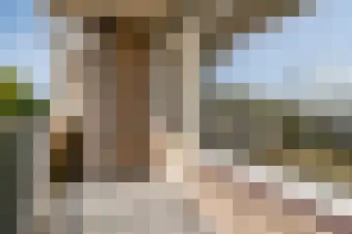 Henry Dunantlaan 222 Middelburg thumbnail 13