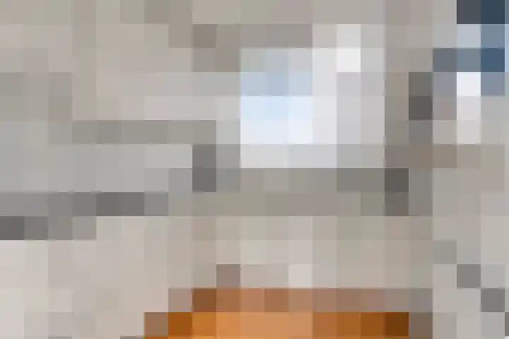 Henry Dunantlaan 222 Middelburg thumbnail 15