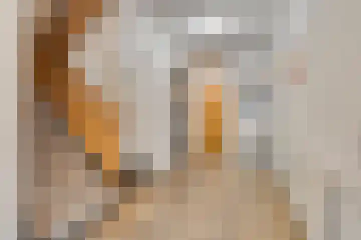 Henry Dunantlaan 222 Middelburg thumbnail 6